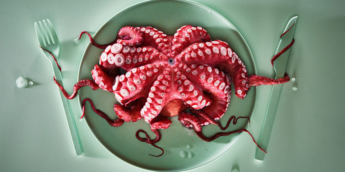 Bifa, © Cosimo Barletta, Red Octopus