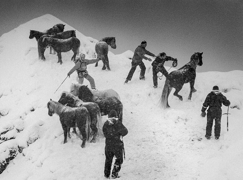 © Ragnar Axelsson, Horse Rescue, Skarðsheiði, Iceland, 1995.