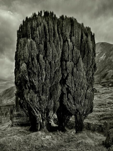 Rems of Cill Chiosd, (Off B8083 Road), Scotland (Isle of Skye), 2013 / © Albert Watson / courtesy of Camera Work