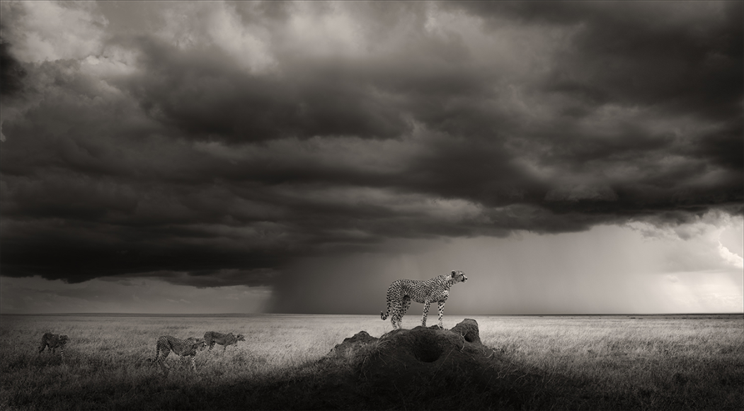 Thunderroad I, Tanzania 2022,  © Joachim Schmeisser  