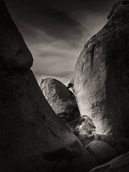 Lion Rock II, Tanzania 2022,  © Joachim Schmeisser  
