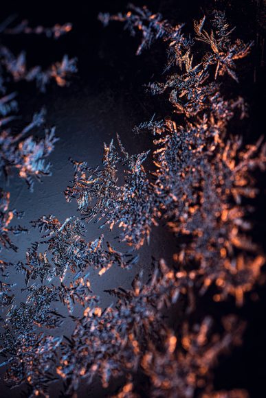 Fast wie unter dem Mikroskop (links): In der 100%-Ansicht lassen sich feinste Strukturen der Eisblumen exzellent erkennen.